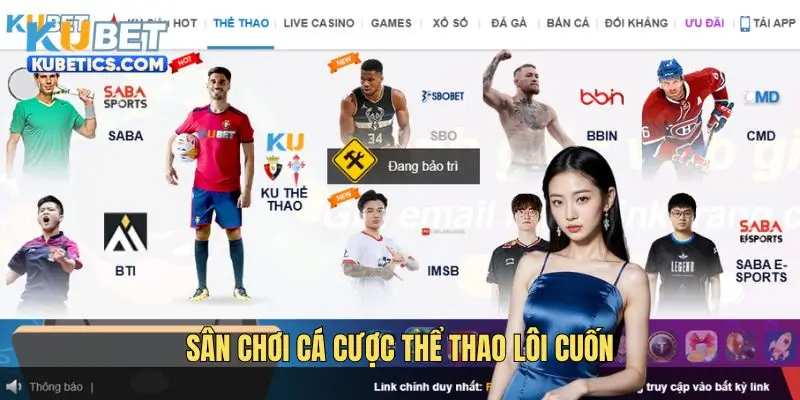 Sân chơi cá cược thể thao lôi cuốn